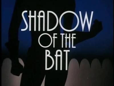 Shadow of the Bat (Part 1) Summary