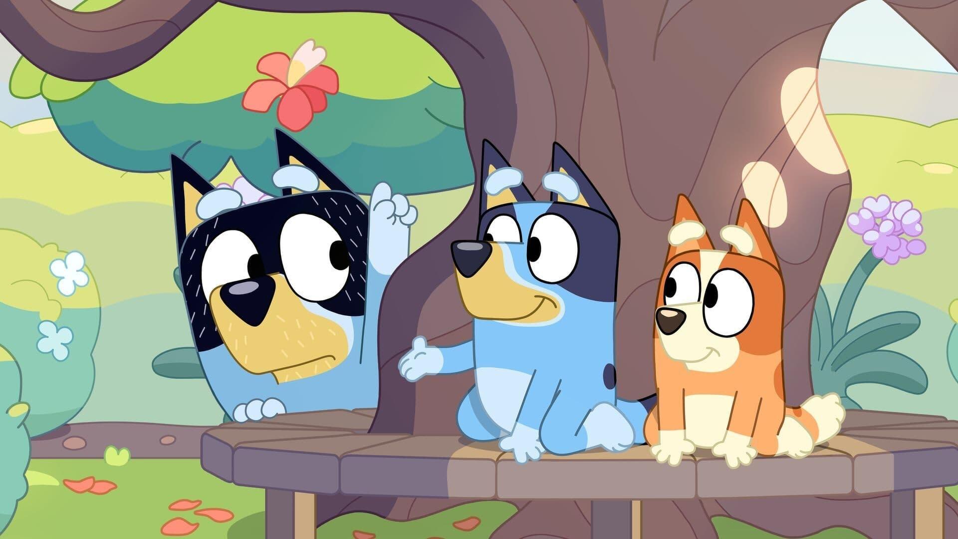 Bluey (S03E06): Born Yesterday Summary - Season 3 Episode 6 Guide