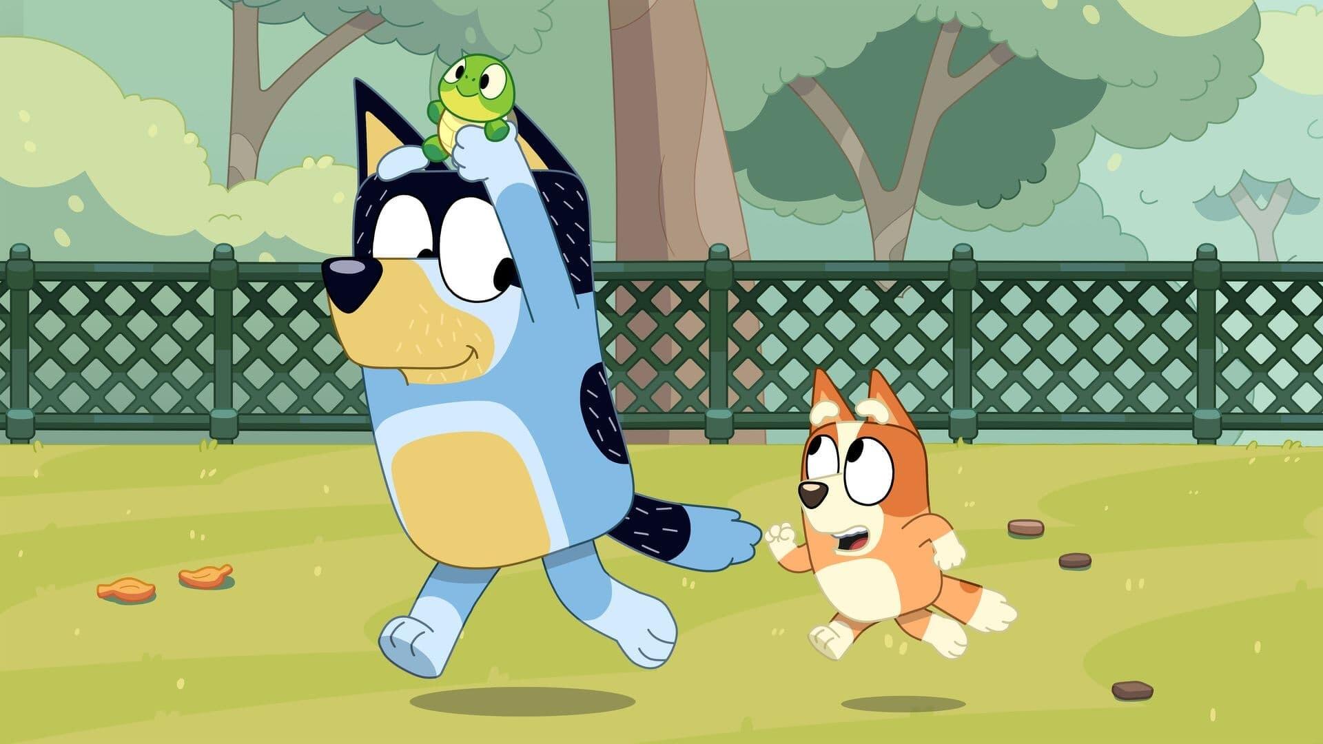 Bluey (S03E30): Turtleboy Summary - Season 3 Episode 30 Guide