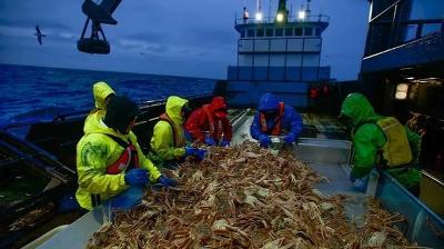 Bering Sea Crash Summary