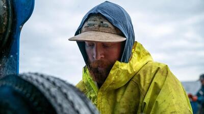 Bering Sea Gut Check Summary