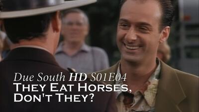 They Eat Horses, Don't They? Summary