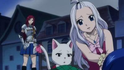 A Fairy Tail Wizard Summary