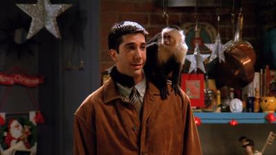 The One With The Monkey Summary