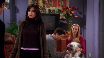 The One Where Chandler Doesn't Like Dogs Summary