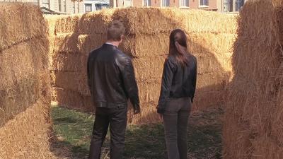 Hay Bale Maze Summary