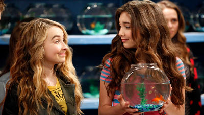 Girl Meets Fish Summary