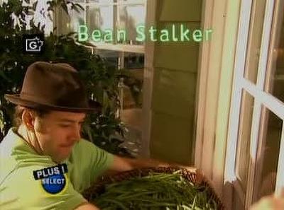 Bean Stalker Summary