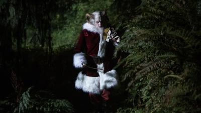 Twelve Days of Krampus Summary