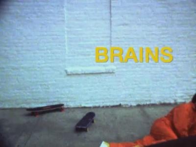 Brains Summary