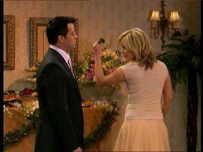 Joey and the Wedding Summary