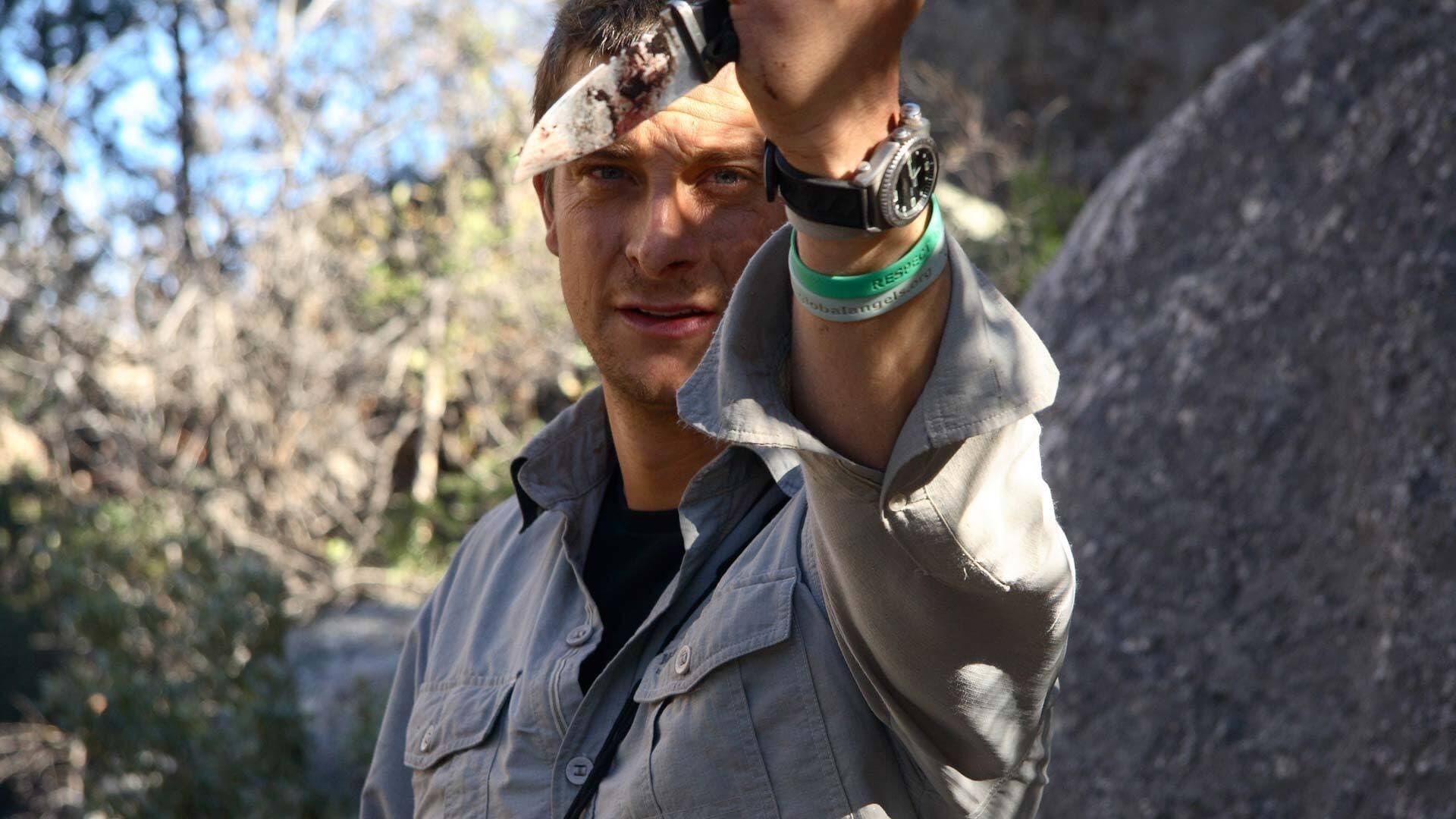 Выжить любой ценой гриллс. Выжить любой ценой Беар Гриллсом. Bear Grylls выжить любой ценой.