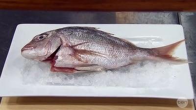 Elimination Challenge: Three Dishes from One Snapper Summary