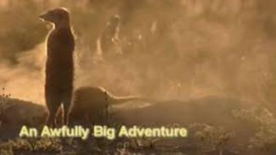 An Awfully Big Adventure Summary