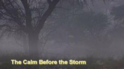 The Calm Before the Storm Summary