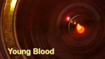 Young Blood Summary