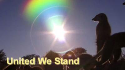 United We Stand Summary