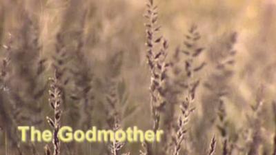 The Godmother Summary