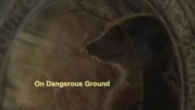 On Dangerous Ground Summary