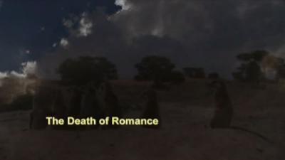 The Death of Romance Summary