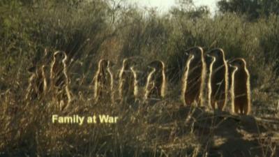 A Family at War Summary