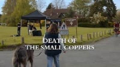 Death of the Small Coppers Summary