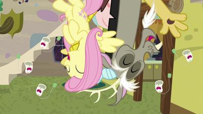 Discordant Harmony Summary