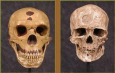 Neanderthals On Trial Summary