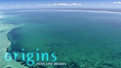 Origins (2): How Life Began Summary