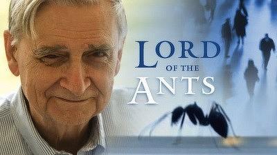 Lord Of The Ants Summary