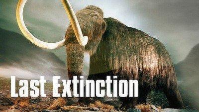 Last Extinction (Megabeasts' Sudden Death) Summary