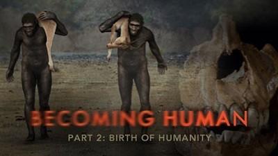 Becoming Human Part 2: Birth of Humanity Summary