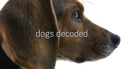 Dogs Decoded Summary