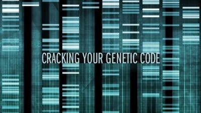 Cracking Your Genetic Code Summary