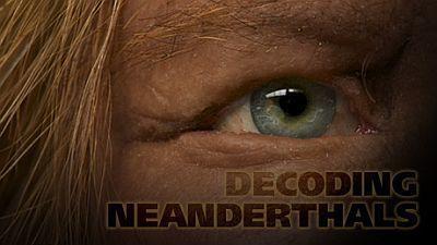 Decoding Neanderthals Summary