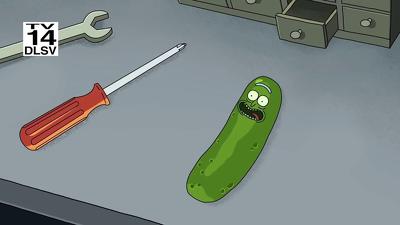 Pickle Rick Summary