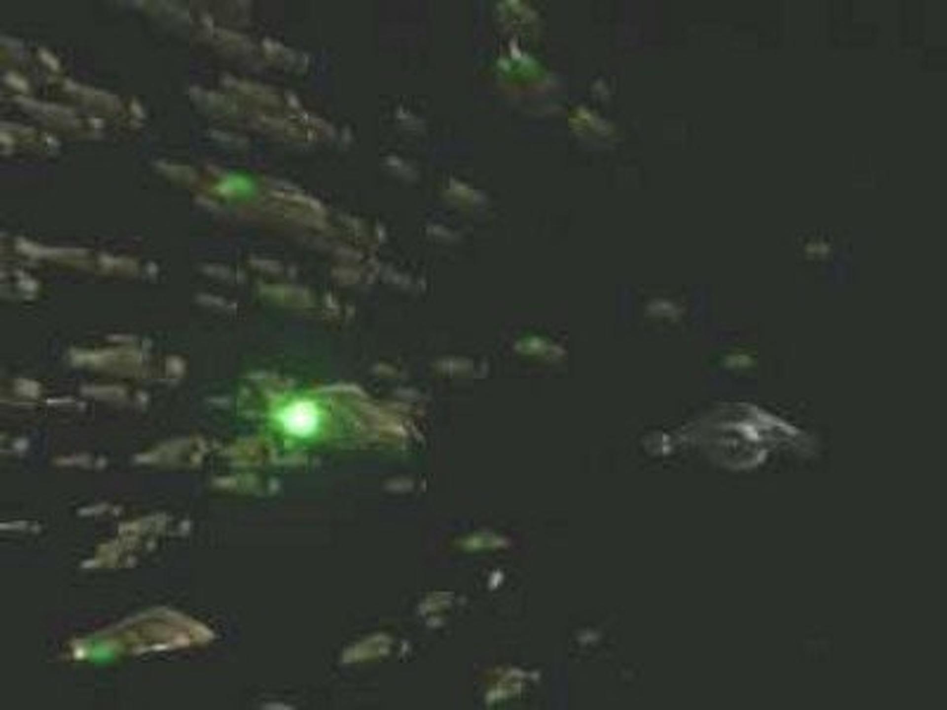 star trek voyager season 3 episode 4