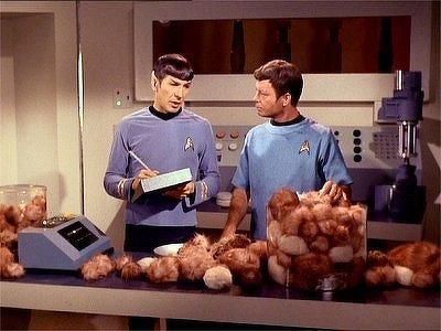 The Trouble With Tribbles Summary