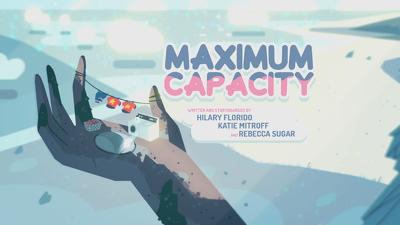 Maximum Capacity Summary