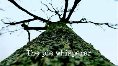 The Pie Whisperer Summary