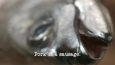 Pork is a Sausage Summary