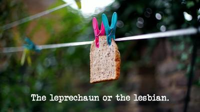 The Leprechaun or the Lesbian Summary