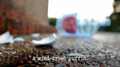 A Wind-Dried Puffin Summary