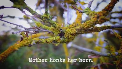 Mother Honks Her Horn Summary