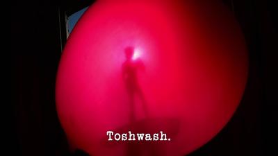 Toshwash Summary