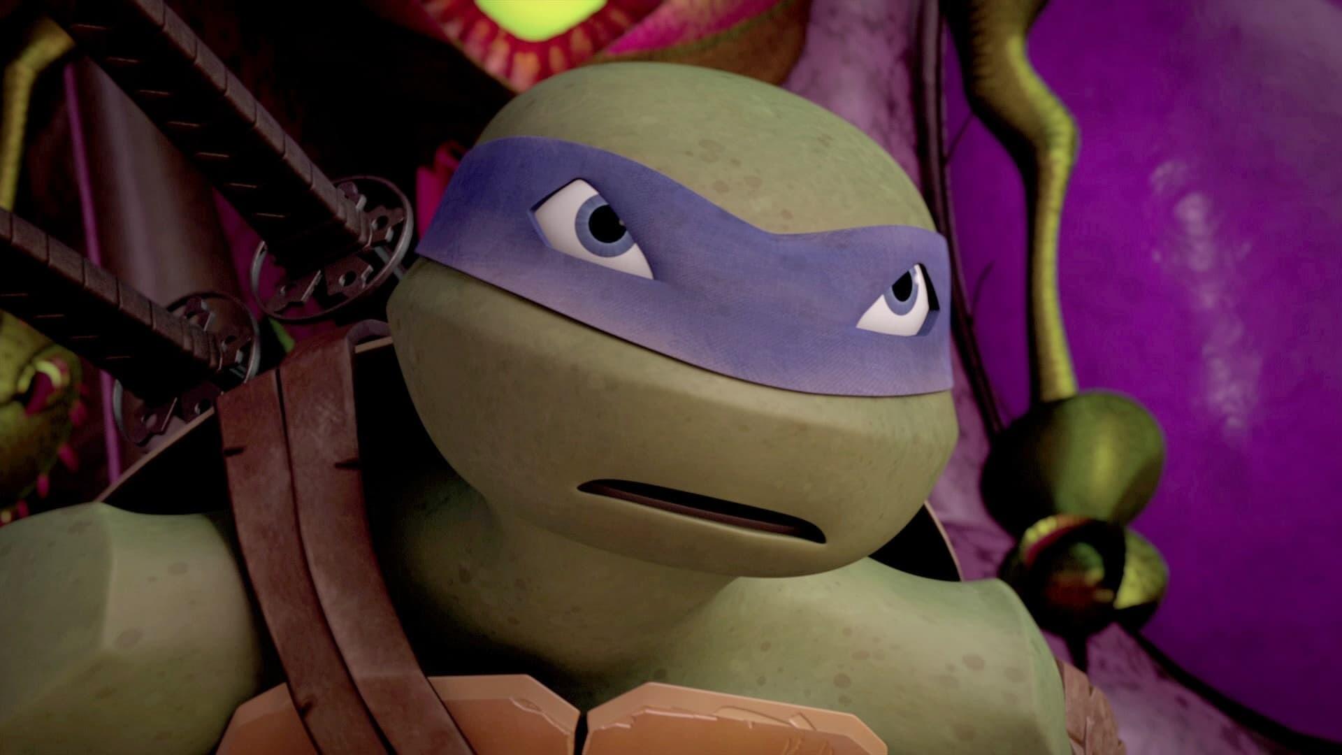 Teenage Mutant Ninja Turtles (S05E06): When Worlds Collide (2) Summary ...