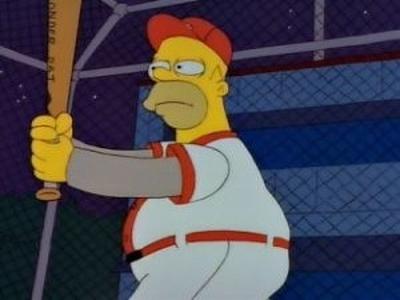 Homer at the Bat Summary