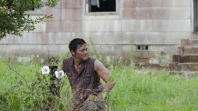 Cherokee Rose Summary