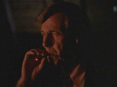 Musings of a Cigarette Smoking Man Summary